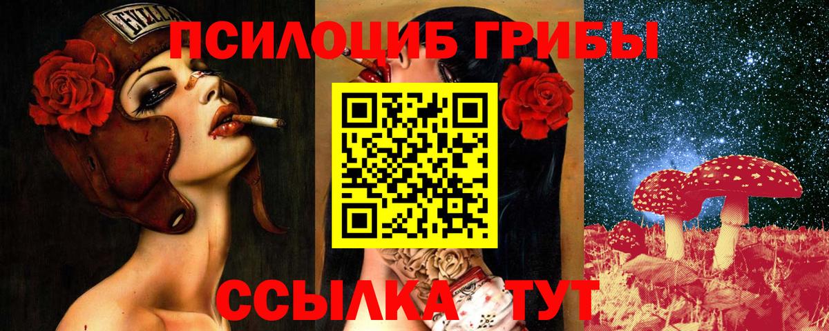 Псилоцибиновые грибы Psilocybe Мценск